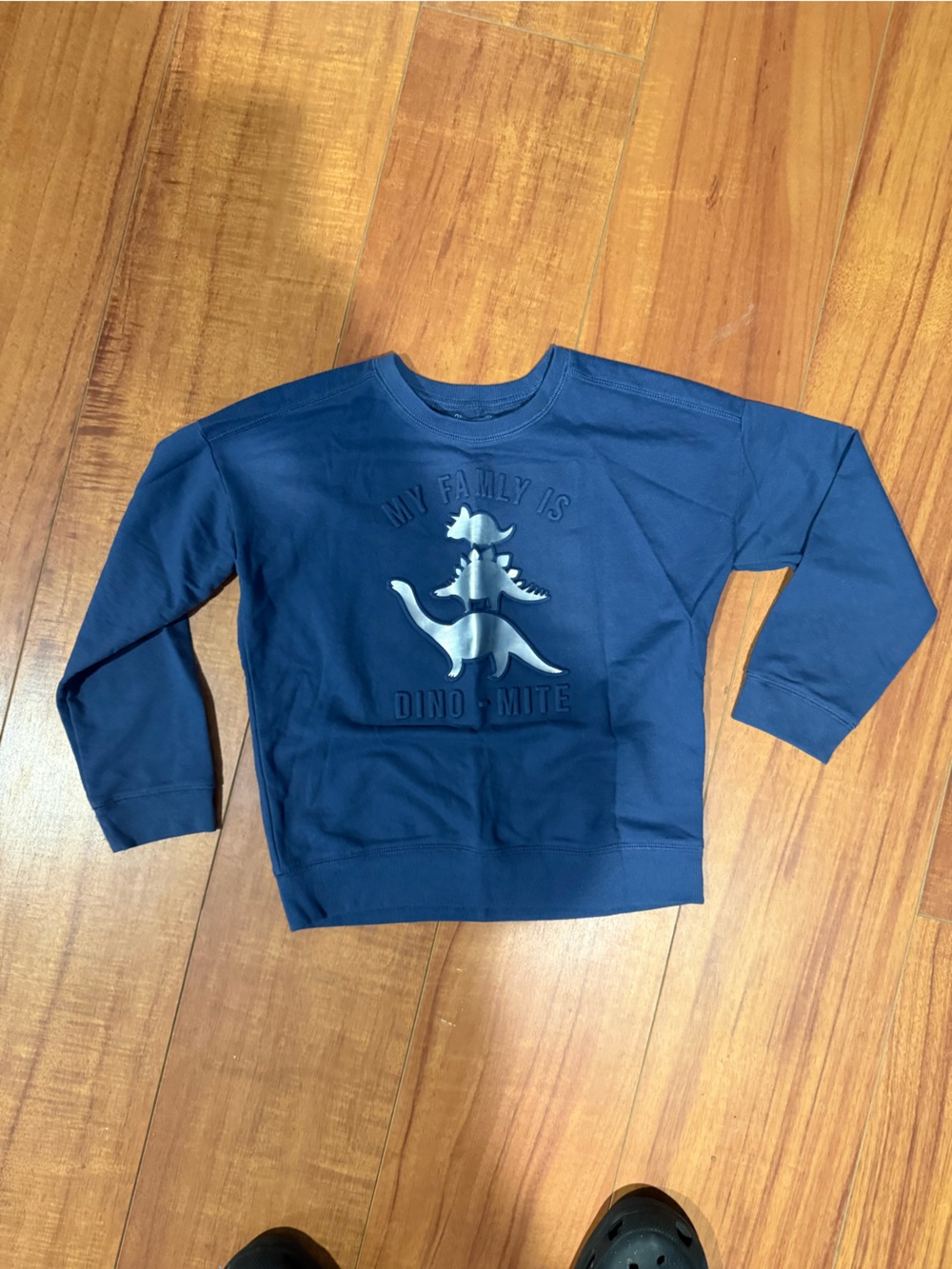 Kids Blue Dino Graphic Crewnecm